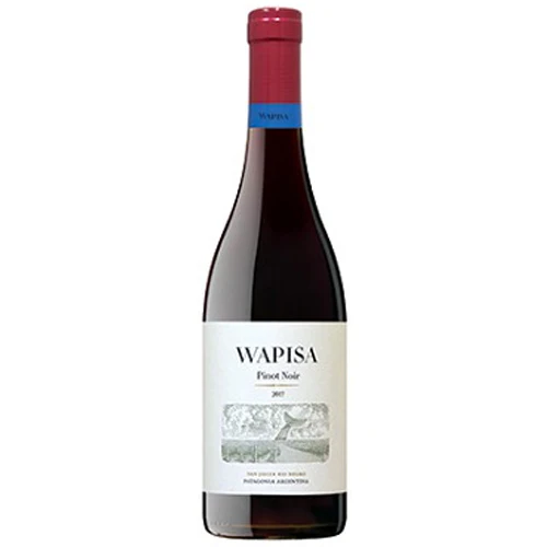 e888ecf081e572793a92505fa86b2d9c4ae7d5e1368bf7f1a9880b42261790f7 Wapisa Pinot Noir 2022 - 750ML - Image 1